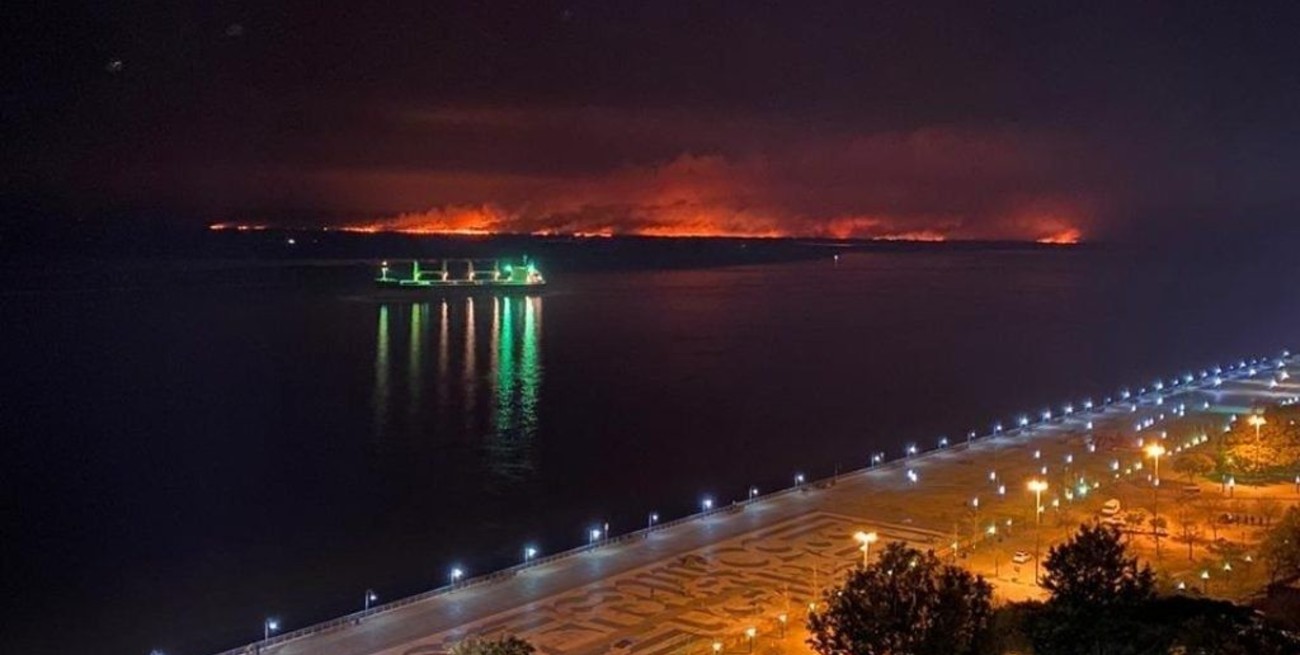 La ley de humedales perderá estado parlamentario a fin de mes