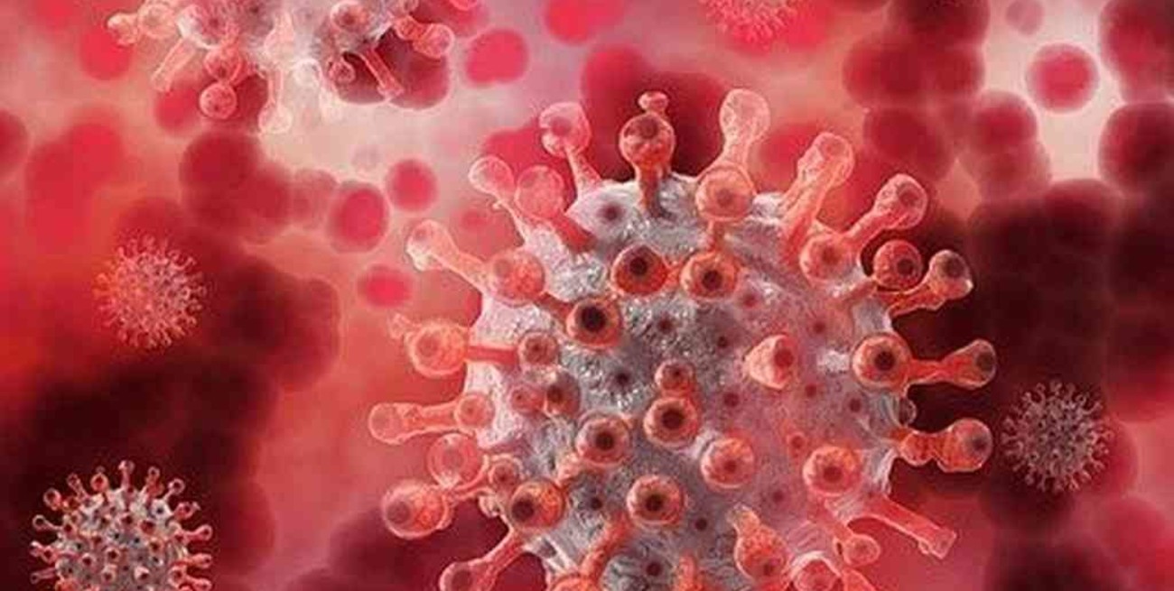 Obtienen por primera vez el mapa genómico completo del SARS-CoV-2