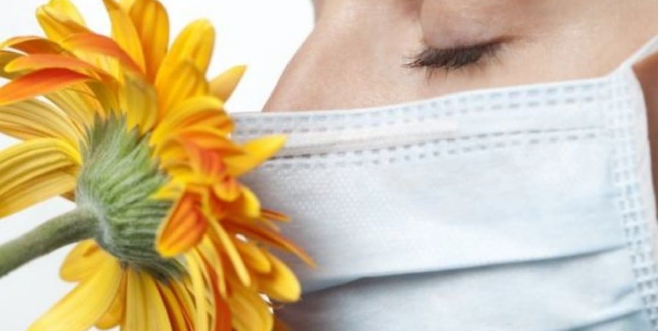 Un nuevo estudio revela por qué los enfermos pierden el olfato