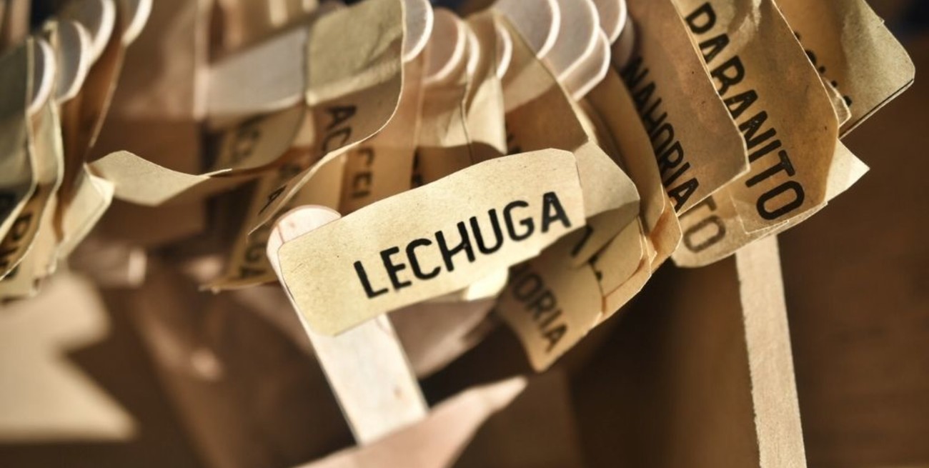 La Municipalidad dicta talleres sobre huertas agroecológicas familiares