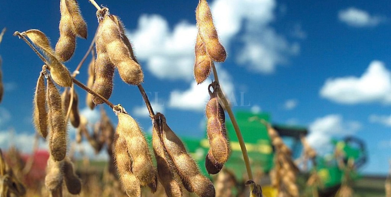 Datos, el insumo clave para levantar los rendimientos de soja