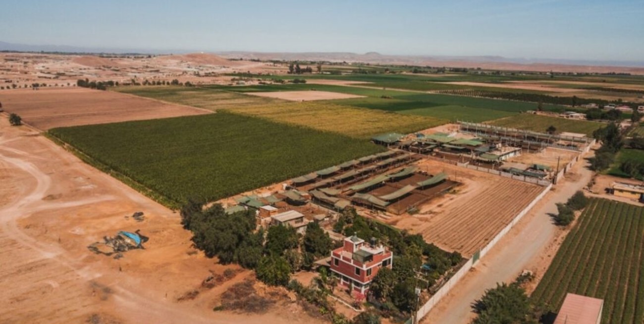 Un santafesino exporta a Perú la cultura del asado argentino