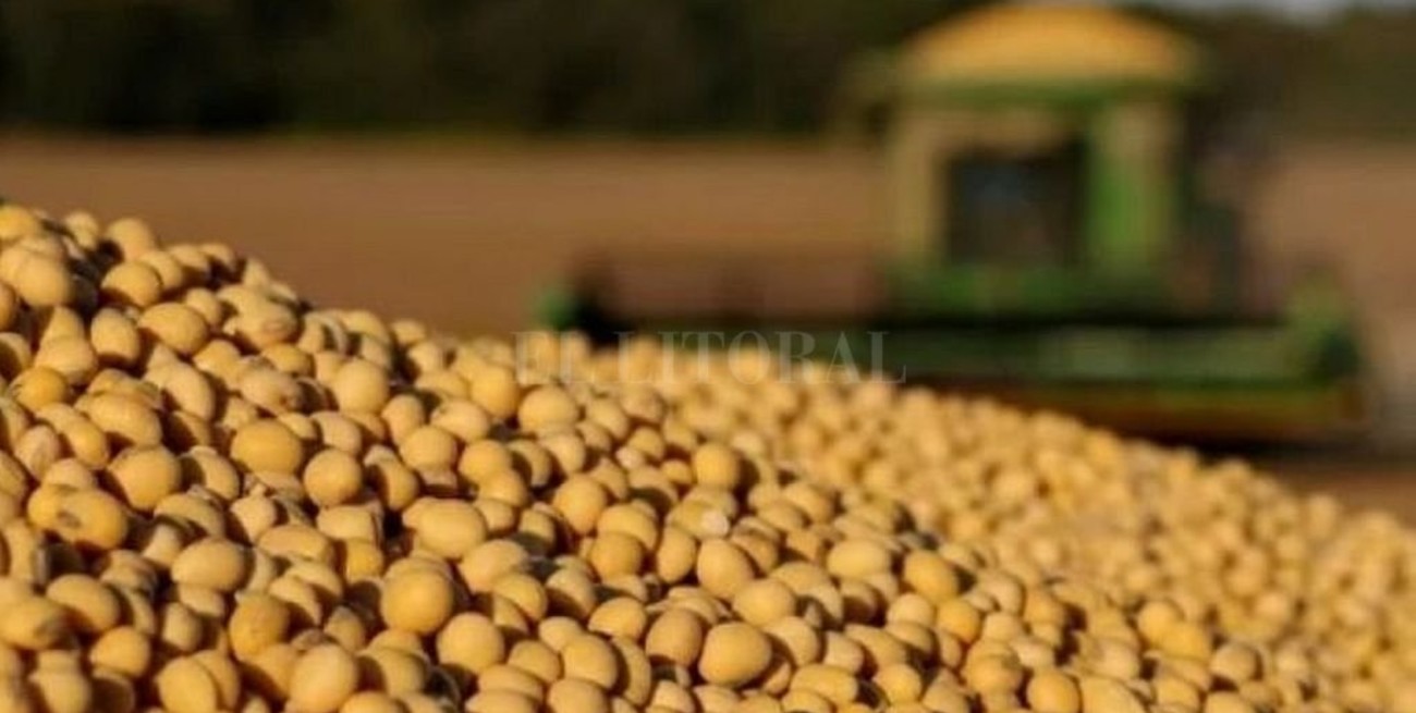 El precio de la soja subió US$ 2 y cerró a US$ 332 en Rosario