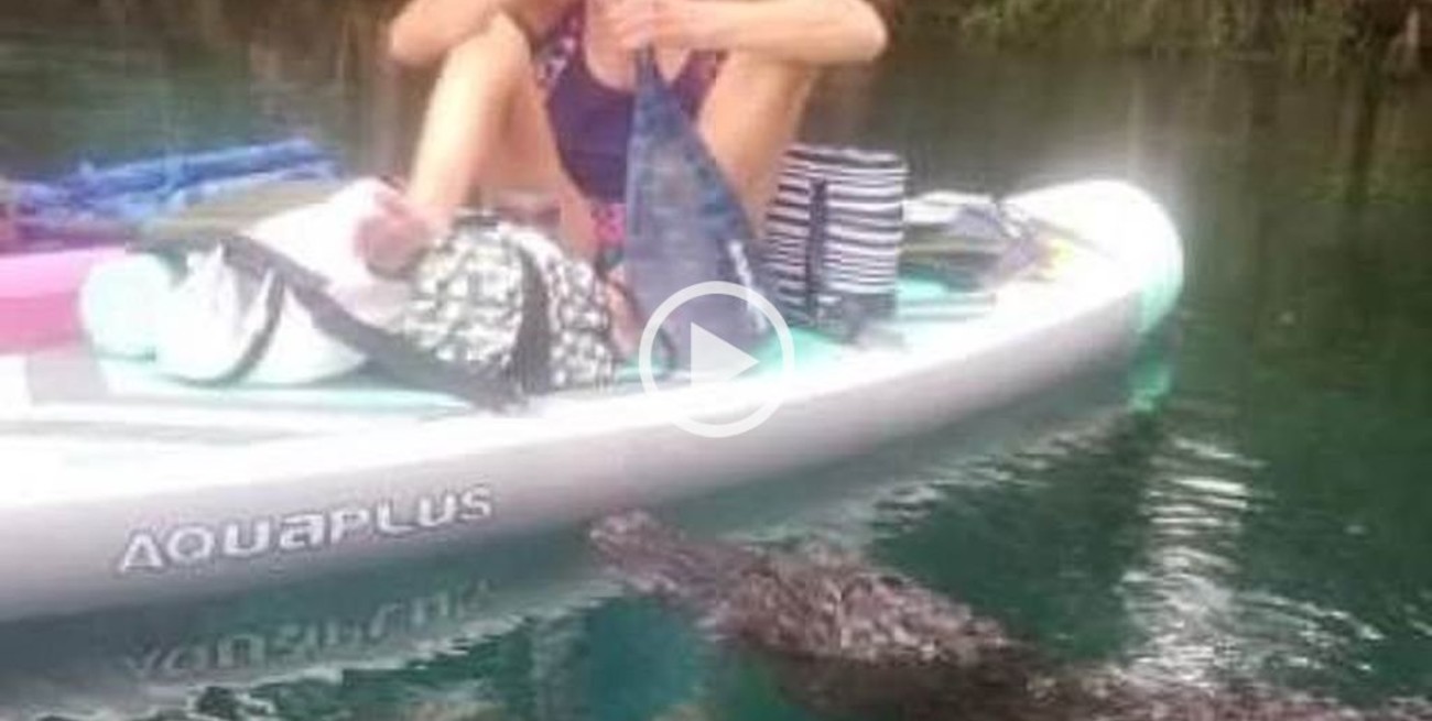 Video: una mujer se defendió de un alligator utilizando el remo de su canoa