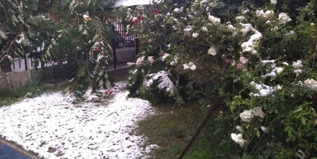 Vanessa Balchunas: "La nevada es muy difícil que ocurra en la provincia de Santa Fe"