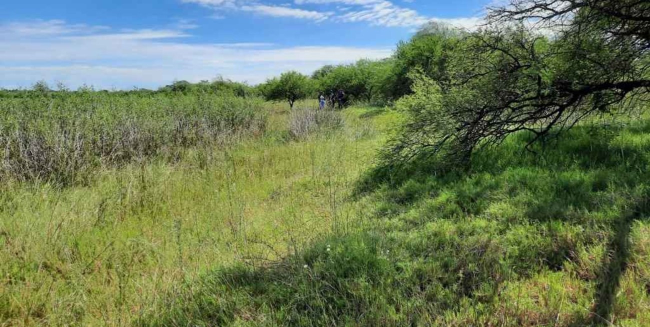 Hallaron un cadáver desnudo en un campo en el norte de la ciudad de Santa Fe