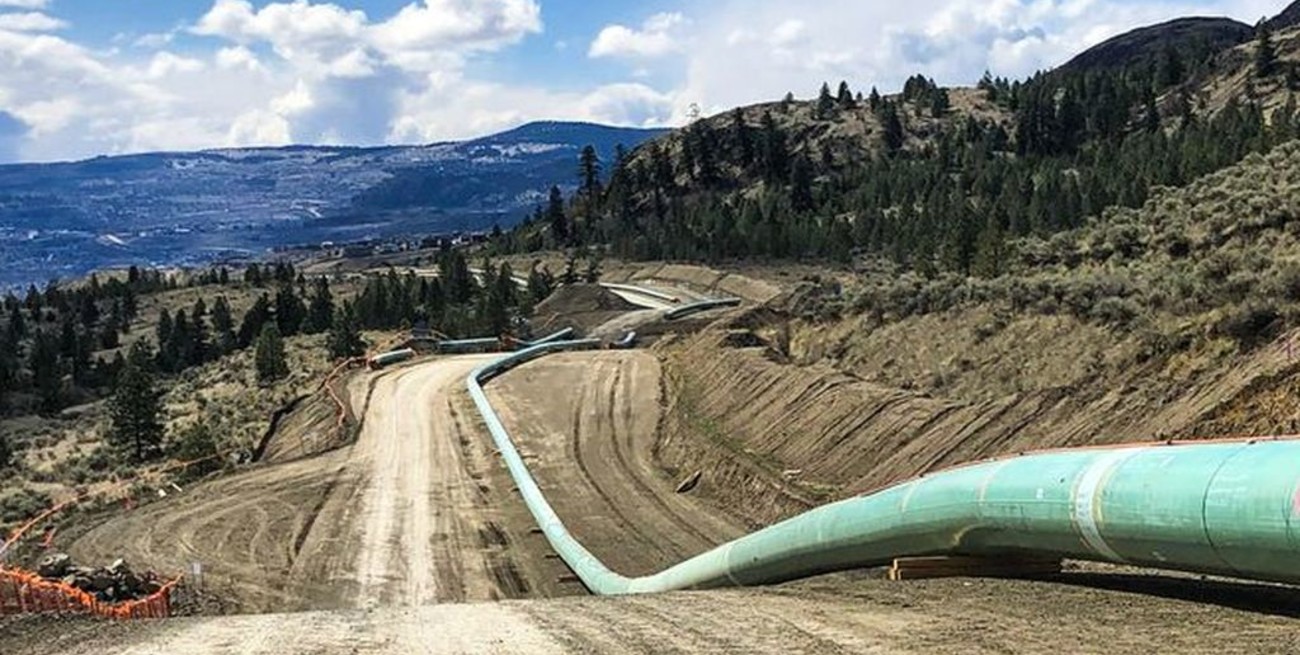 Canadá: el gobierno detuvo la construcción de un oleoducto para proteger nidos de colibríes