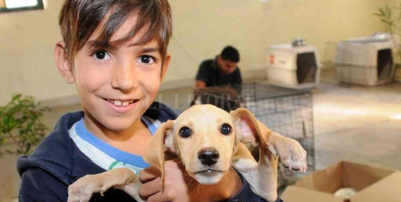 Rosario: Imusa refuerza su campaña de adopción permanente
