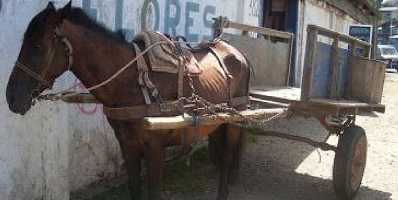 San Juan: se robaron $ 200.000 que estaban escondidos en una mamadera