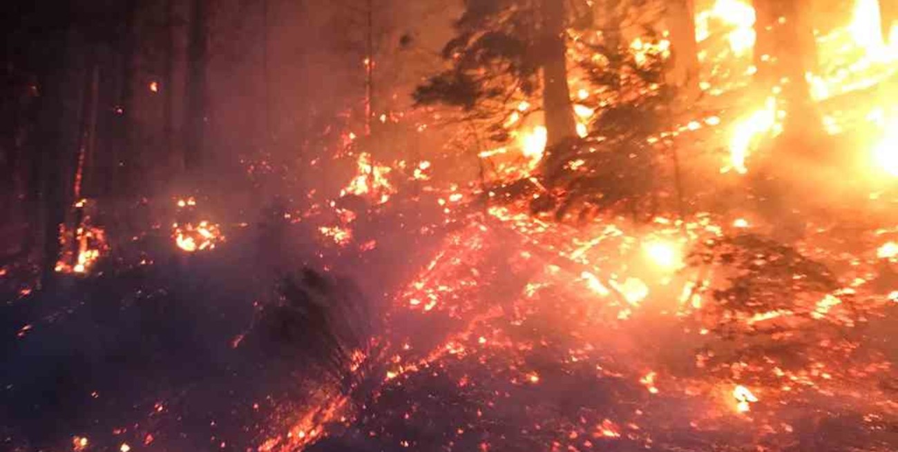 Cientos de personas fueron evacuadas por los incendios forestales en California