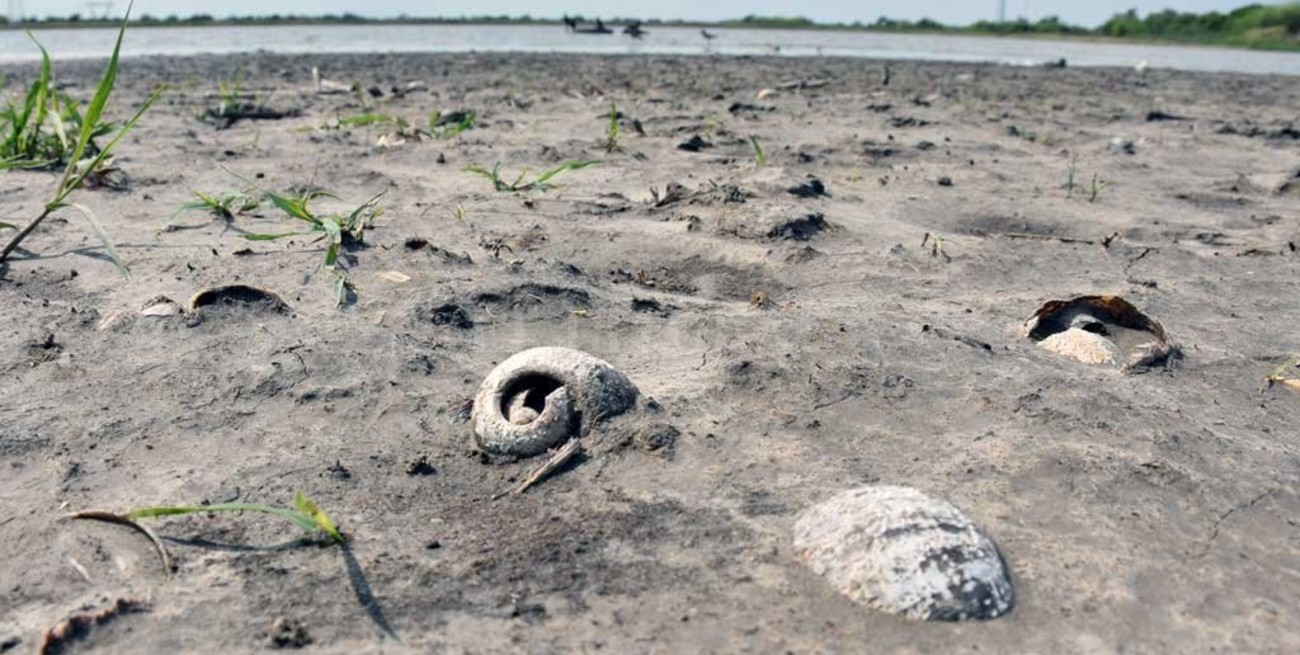 La estación meteorológica de Sauce Viejo  registra déficit hídrico en el suelo hace un año