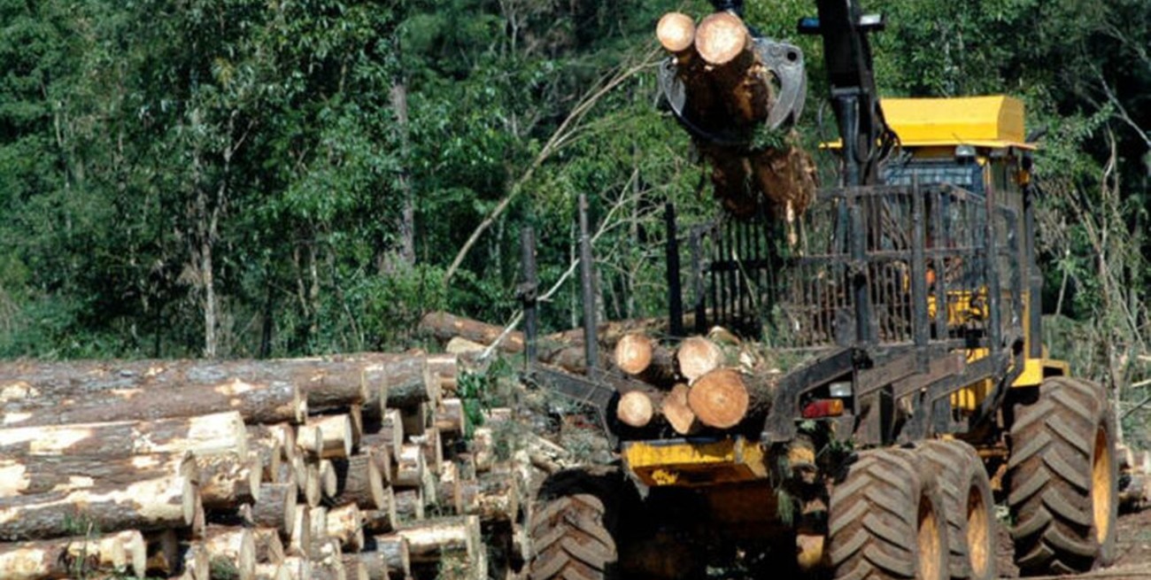 Relevarán todos los aserraderos en Misiones