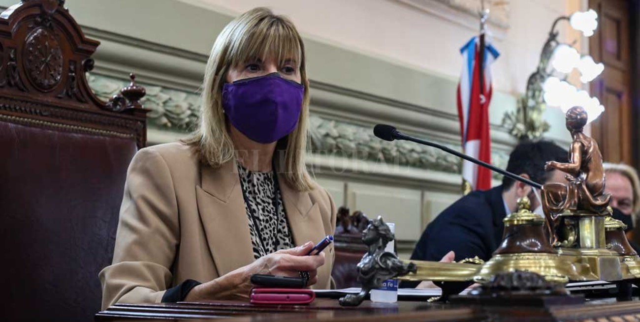 Rodenas pidió licencia por la campaña