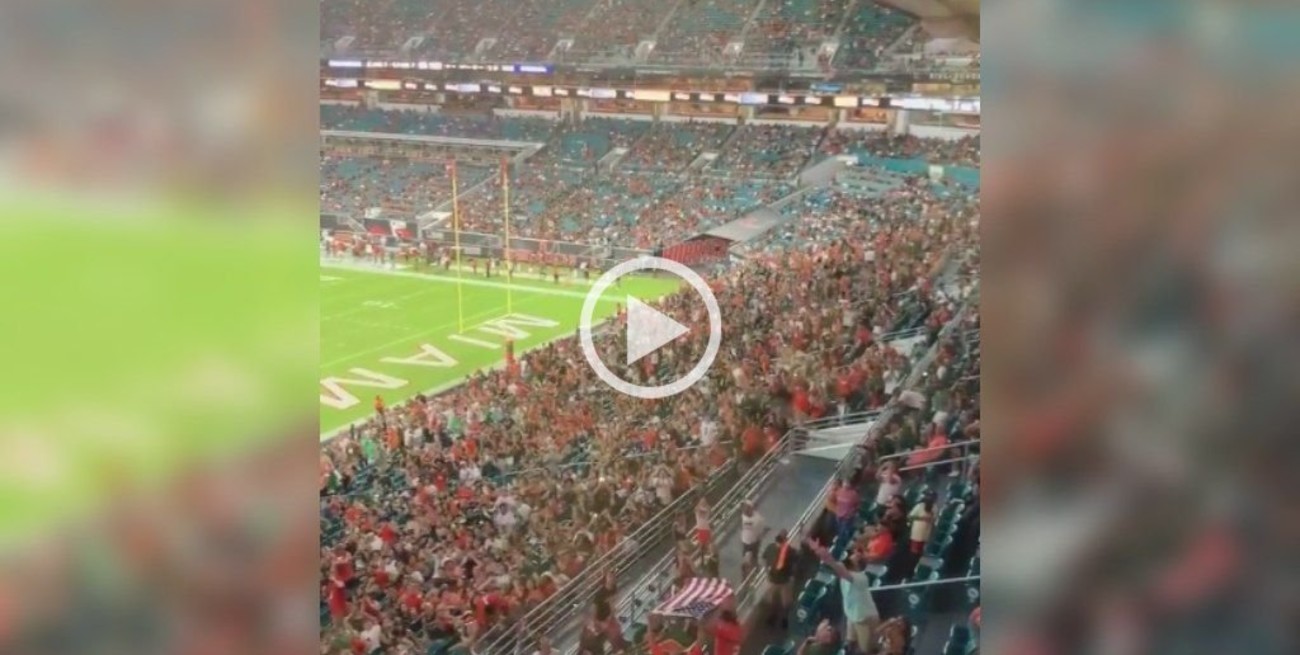 Video: hinchas salvaron a un gato que se cayó de la tribuna y lo festejaron como un gol