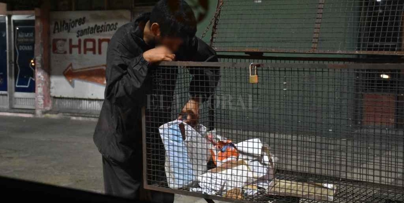 El derecho a comer: un plan busca sacar de la indigencia a 90 mil familias de Santa Fe