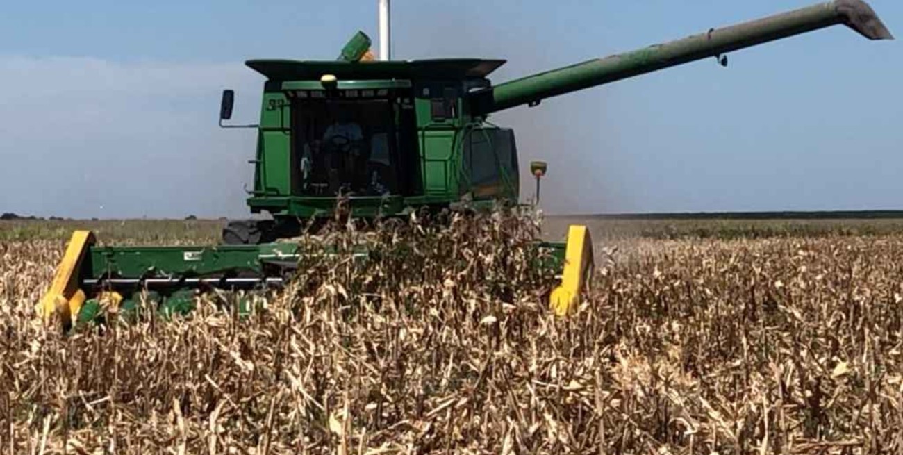 Las lluvias frenaron la cosecha  
