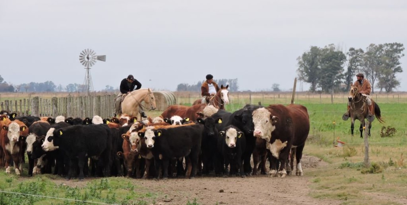 Acceso a la tierra: pequeños y medianos productores piden ser parte de la discusión 