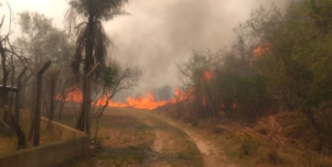 Tres provincias registran incendios forestales activos este miércoles