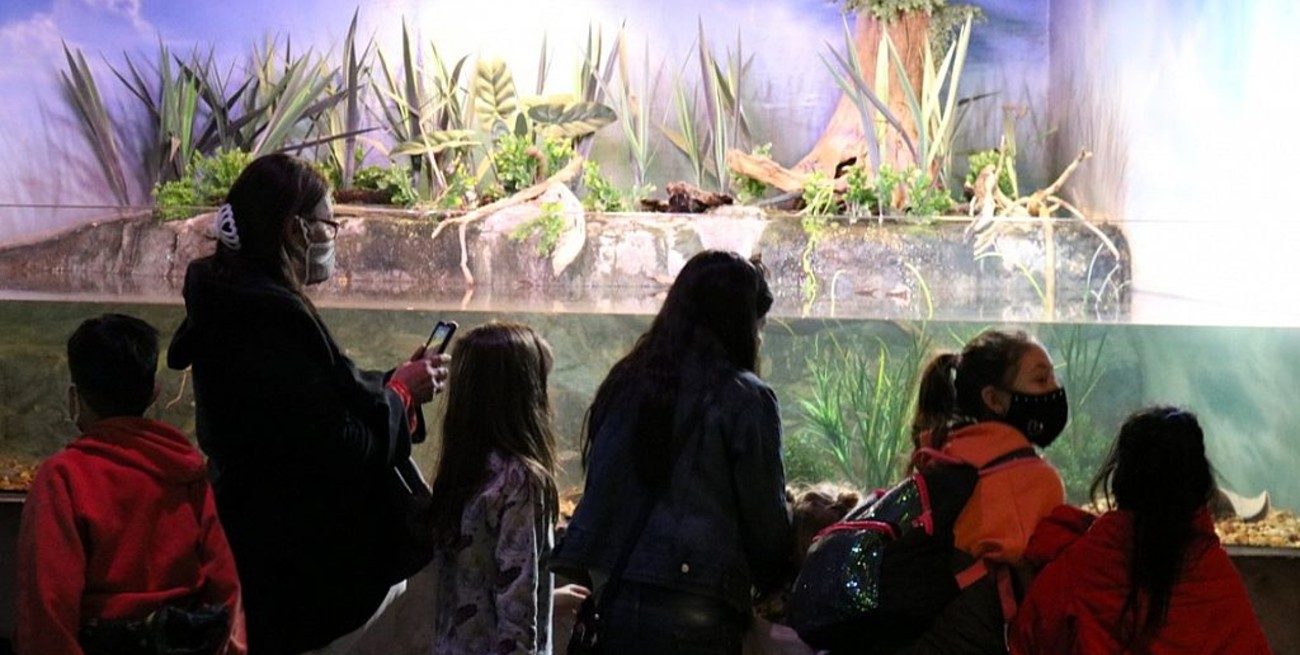 El acuario del Río Paraná recibió 3.000 visitantes por fin de semana desde su reapertura