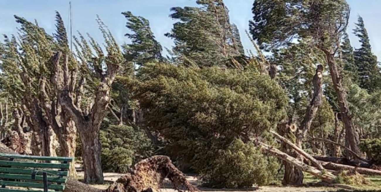 Ráfagas de más de 160 kilómetros por hora en la Patagonia