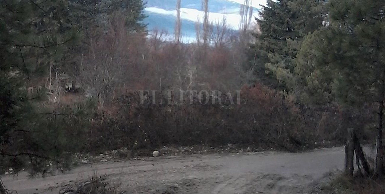 Designios imaginarios