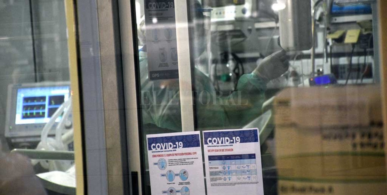 Pacientes respondieron bien al suero equino hiperinmune y evitaron la terapia intensiva