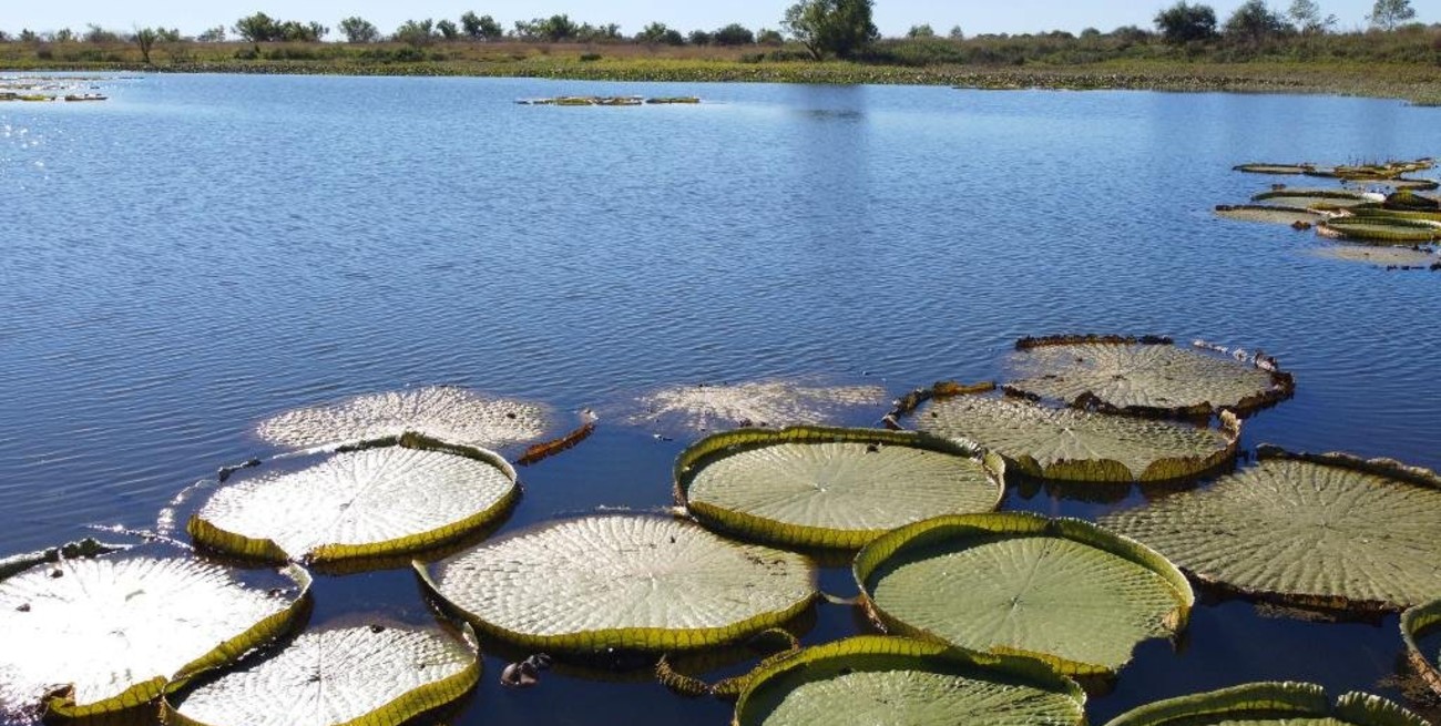  75% de ocupación: cientos de turistas visitaron San Javier