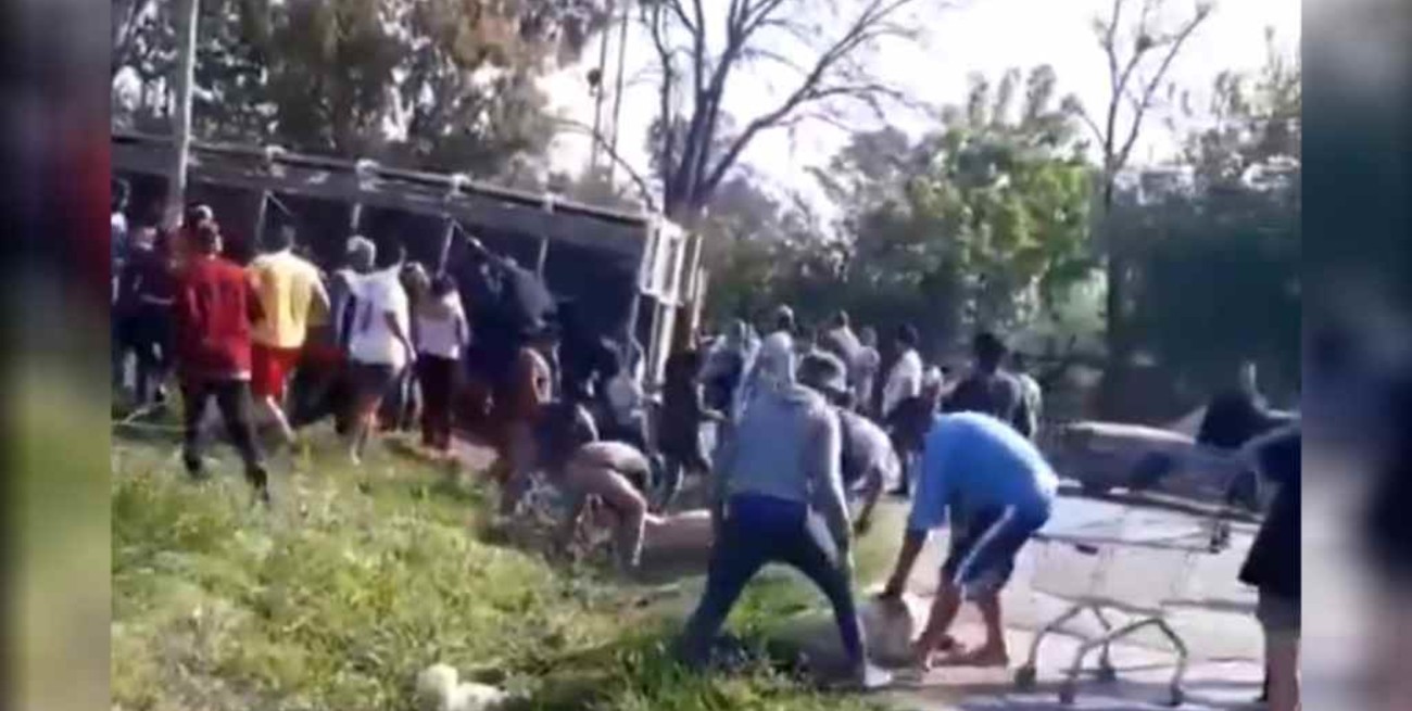 Volcó un camión con cerdos y vecinos los carnearon en plena vía pública 
