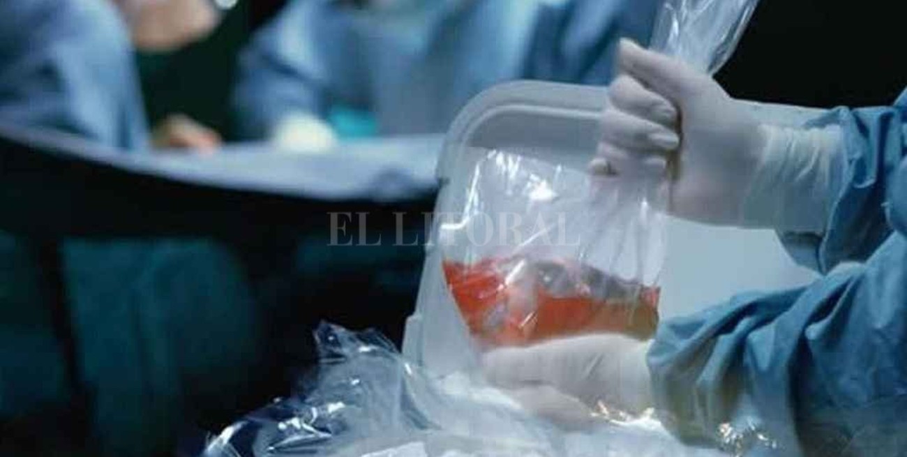 Santa Fe, segunda provincia con más donaciones de órganos realizadas  