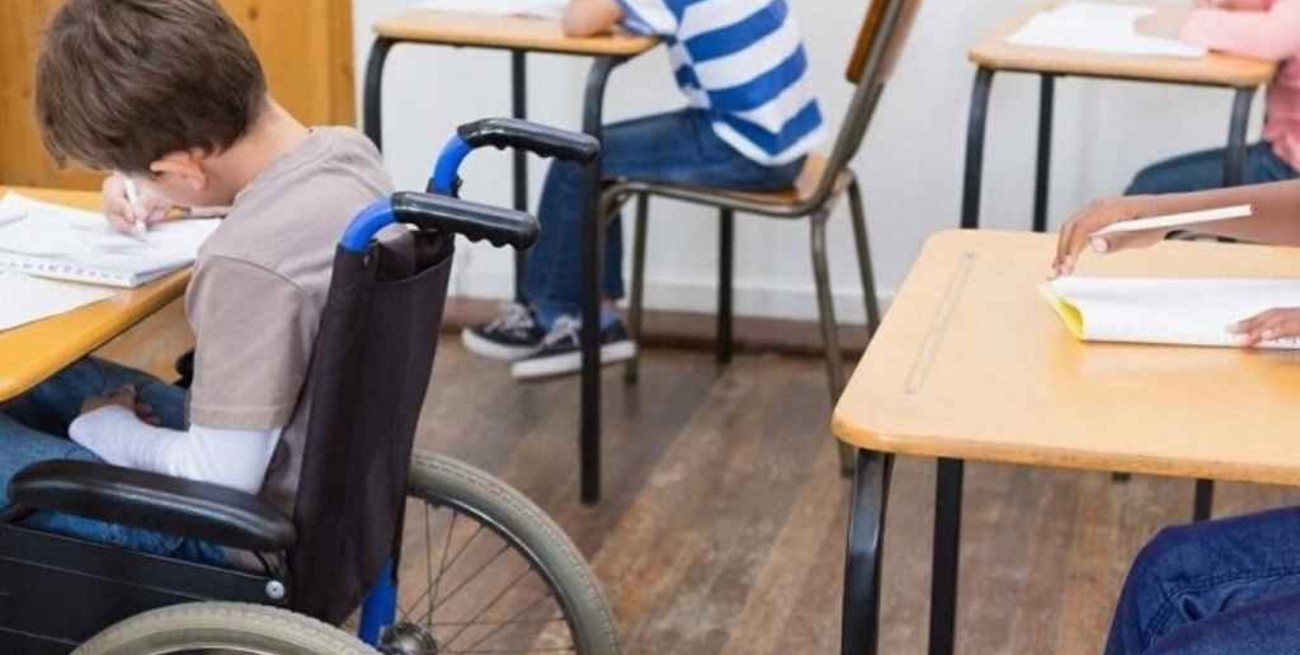 Senadores proponen que la educación inclusiva tenga presupuesto propio