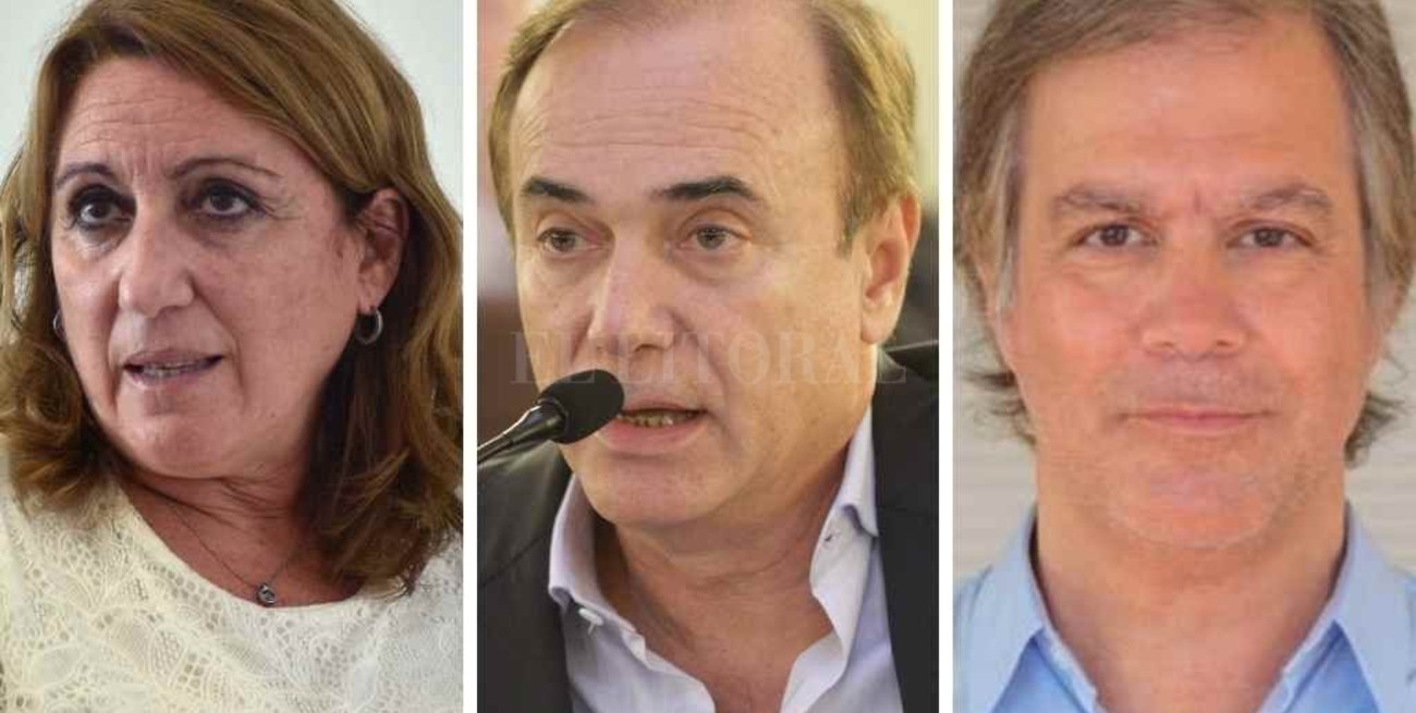 El socialismo define su perfil  