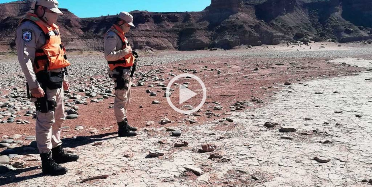 Video: encontraron huellas de un dinosaurio bípedo en la Patagonia