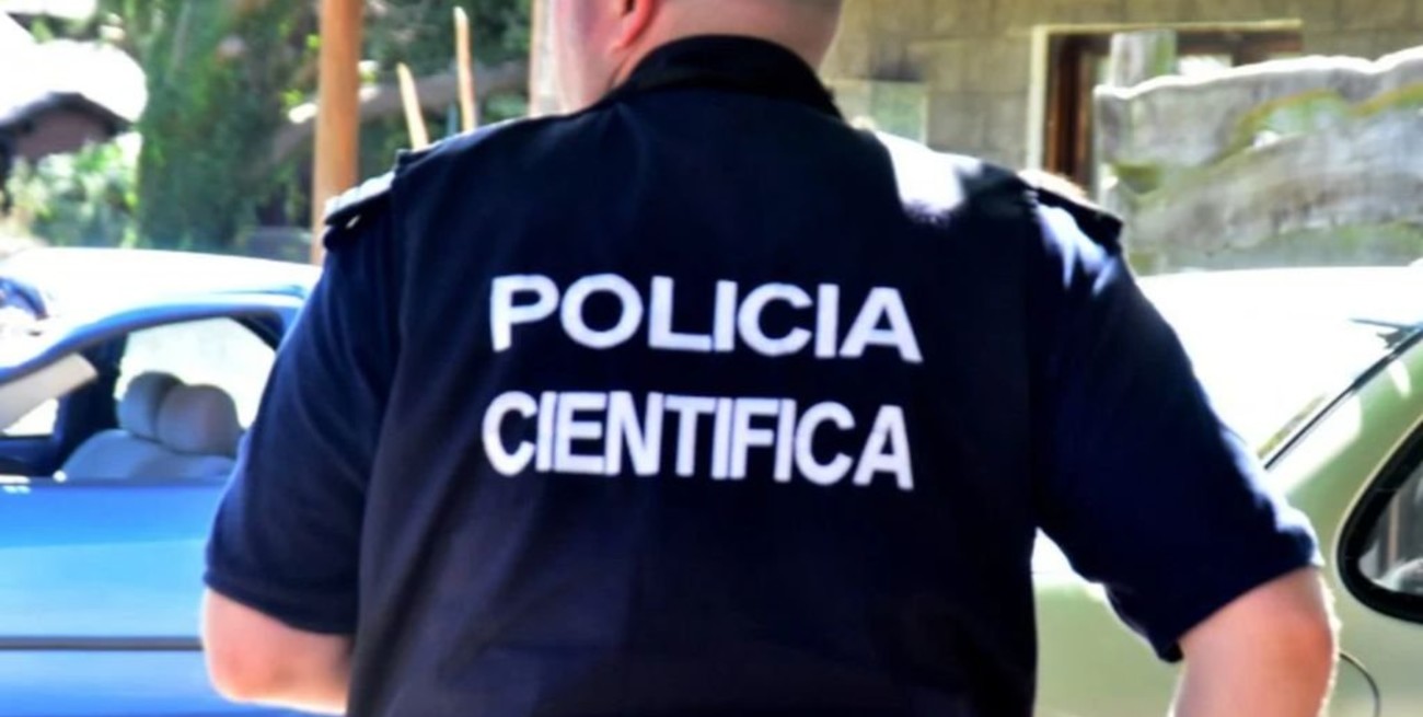 Mar del Plata: discutió con su pareja y se suicidó tirándose debajo de un camión