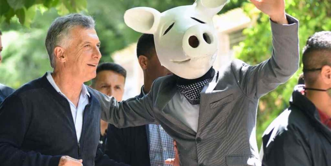 Fue a votar disfrazado de chancho y se volvió viral: quién era