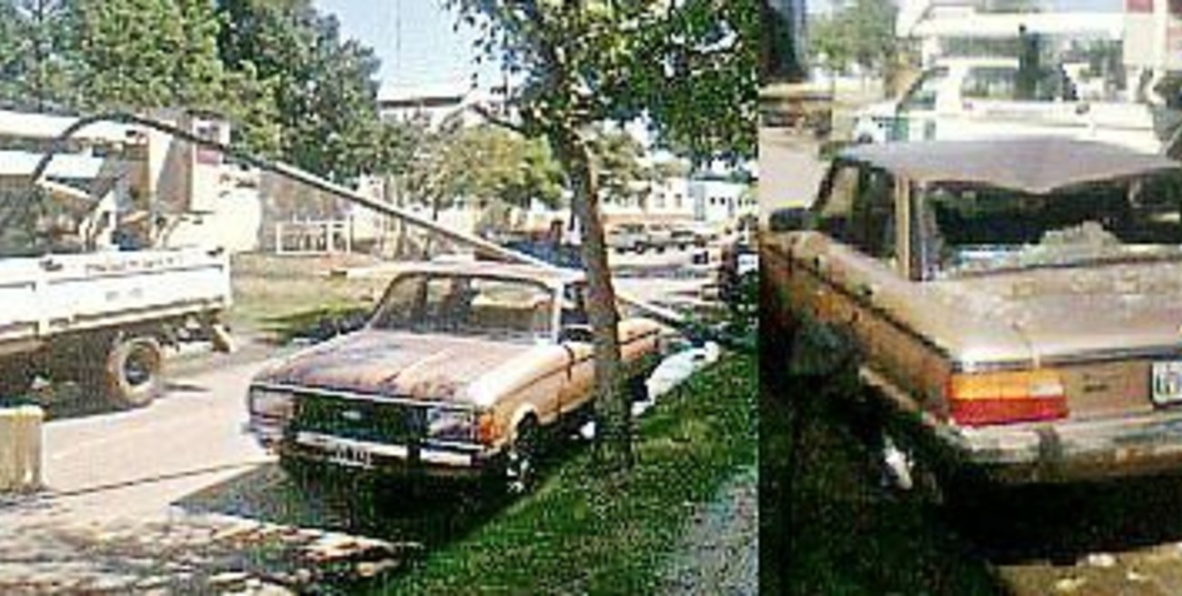 Cayó una columna de alumbrado público sobre un auto