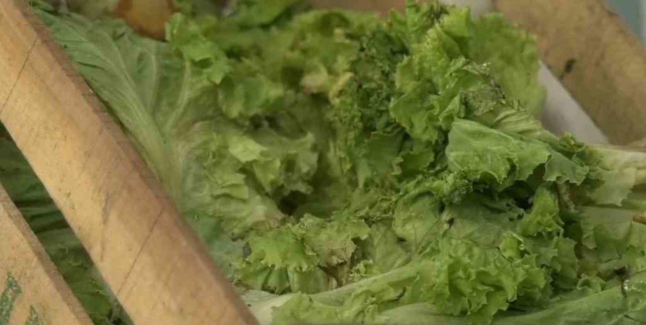 Alimentos en la mira: aumentaron 7,5% en febrero en todo el país