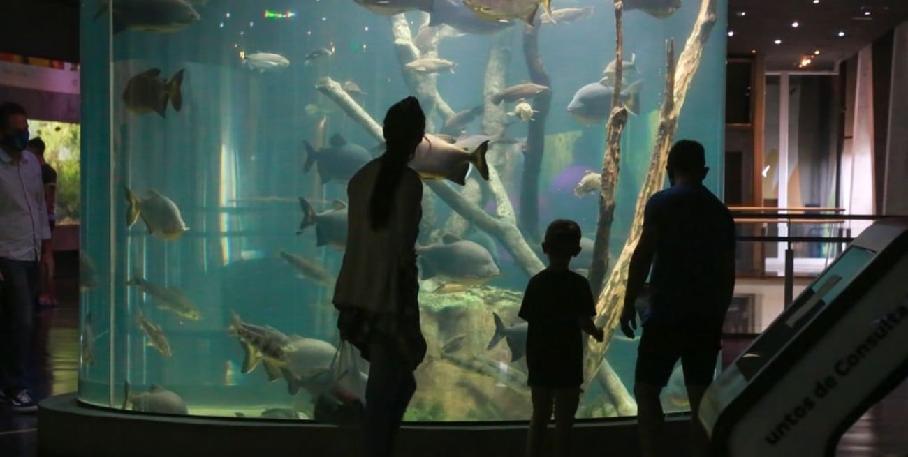 Rosario: el Acuario del Río Paraná extiende sus días y horarios de visitas.