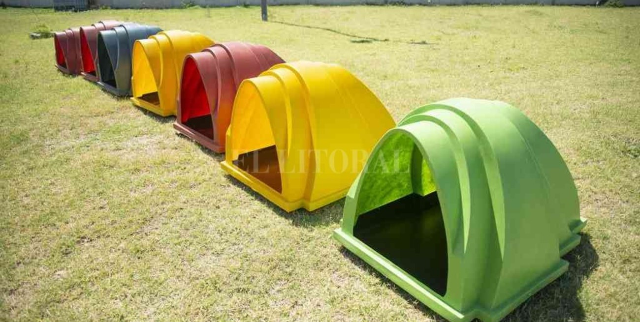 Incorporan cuchas de PVC en el Centro de Adopción del Imusa en Rosario