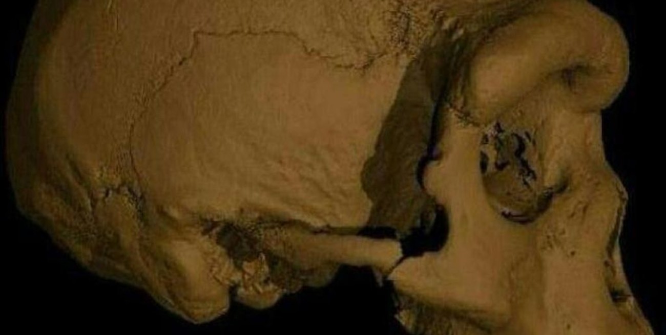 El fósil del "hombre dragón" podría sustituir a los neandertales como nuestro pariente más cercano