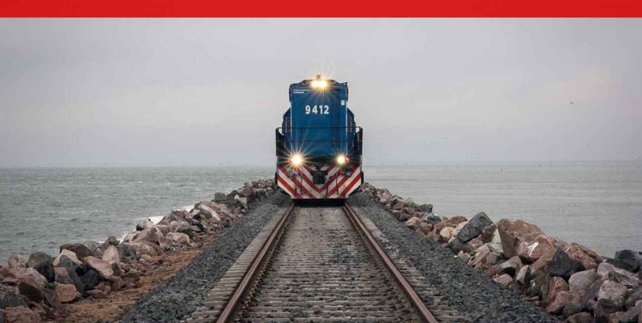 En vivo: el tren vuelve a pasar por la laguna La Picasa