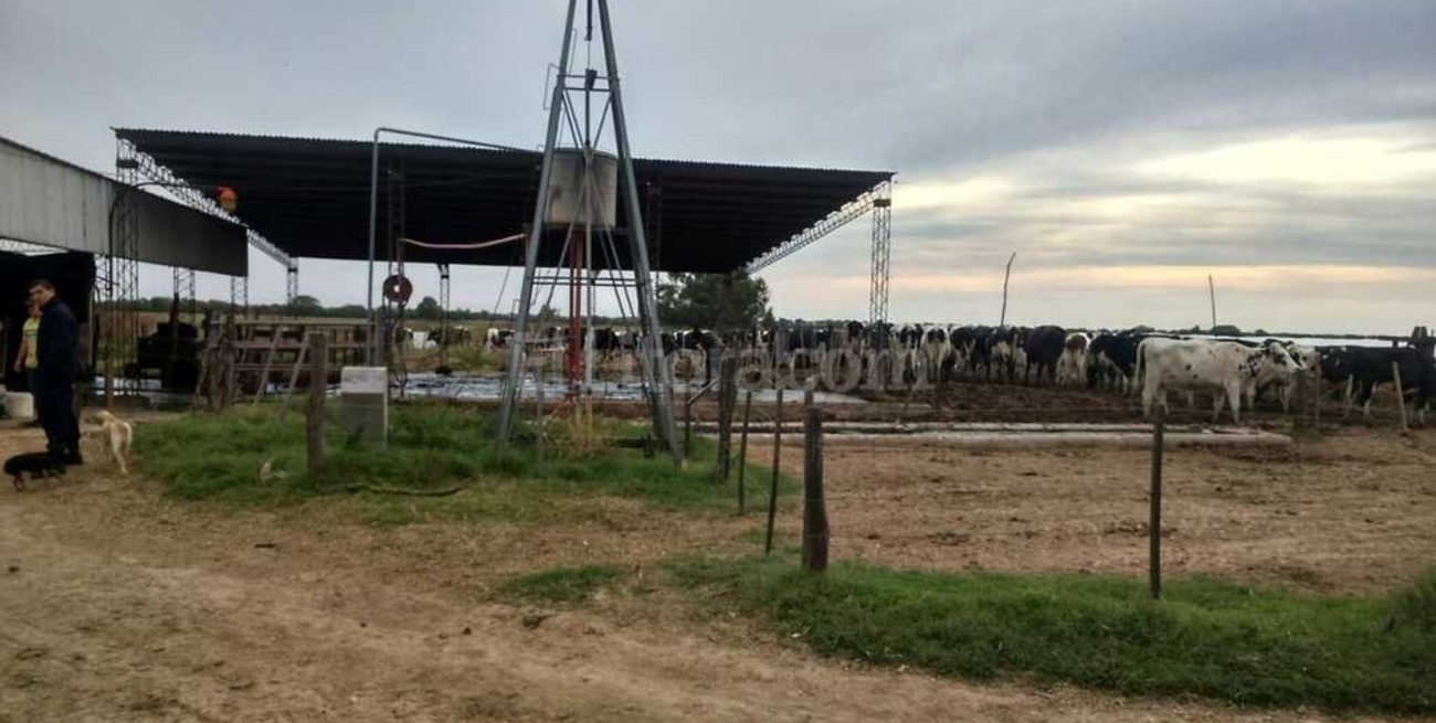 Bebé murió ahogado en el bebedero de un tambo