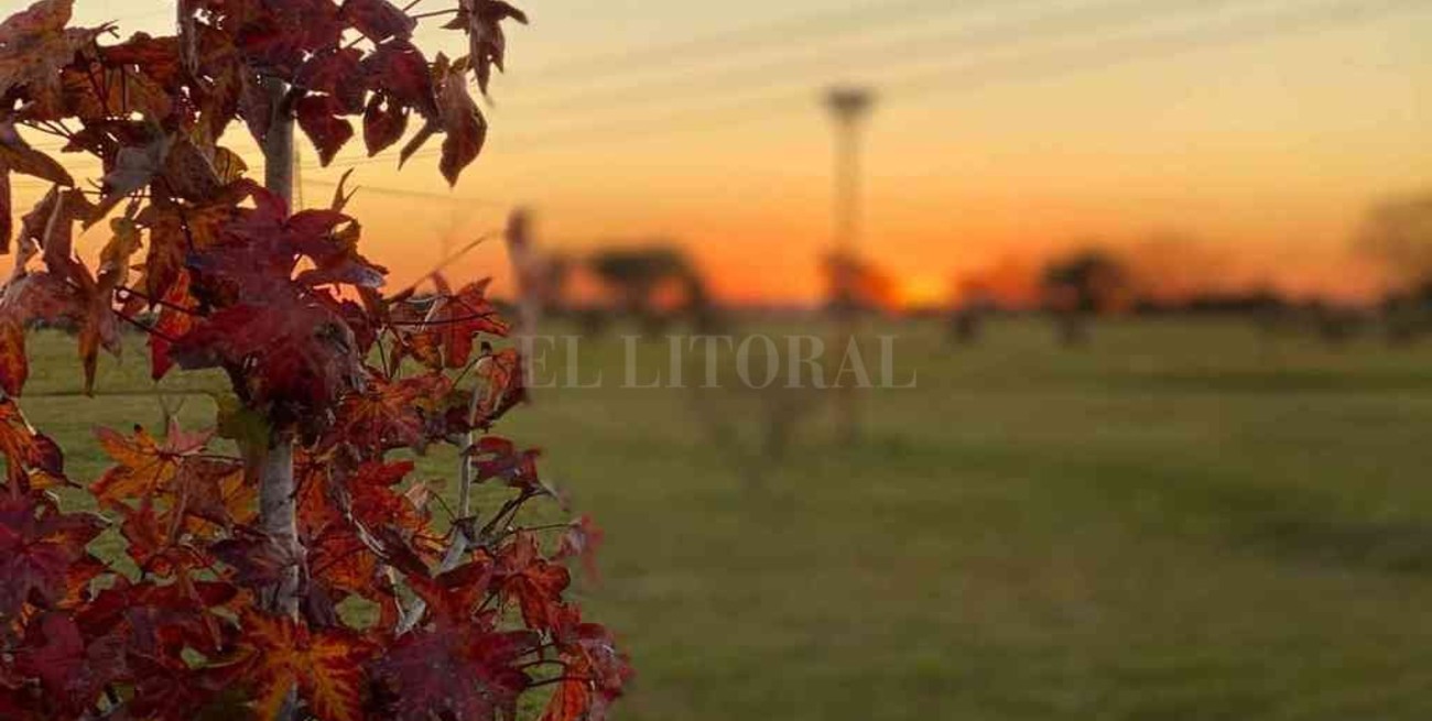 El proyecto Colonia Verde se consolida con nuevos ejemplares