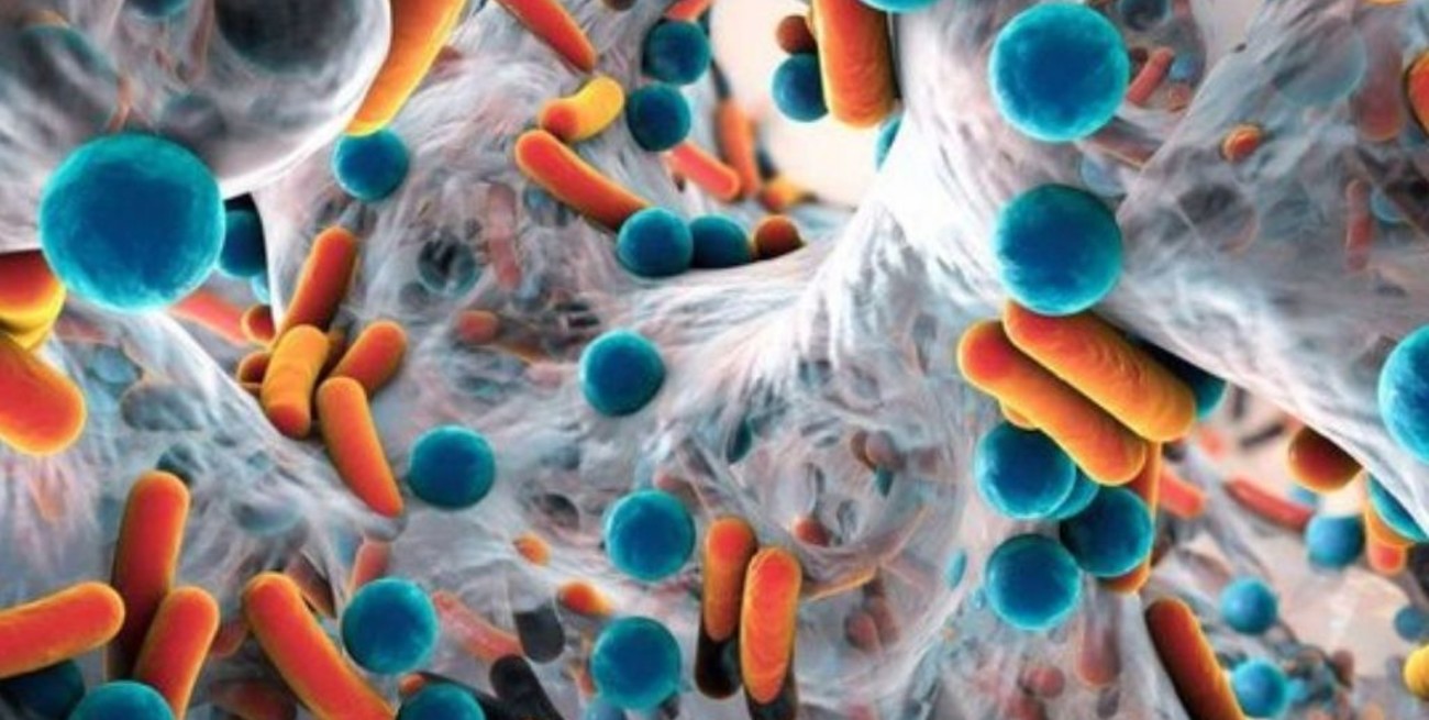 Las superbacterias resistentes a los antibióticos causan más de un millón de muertes al año