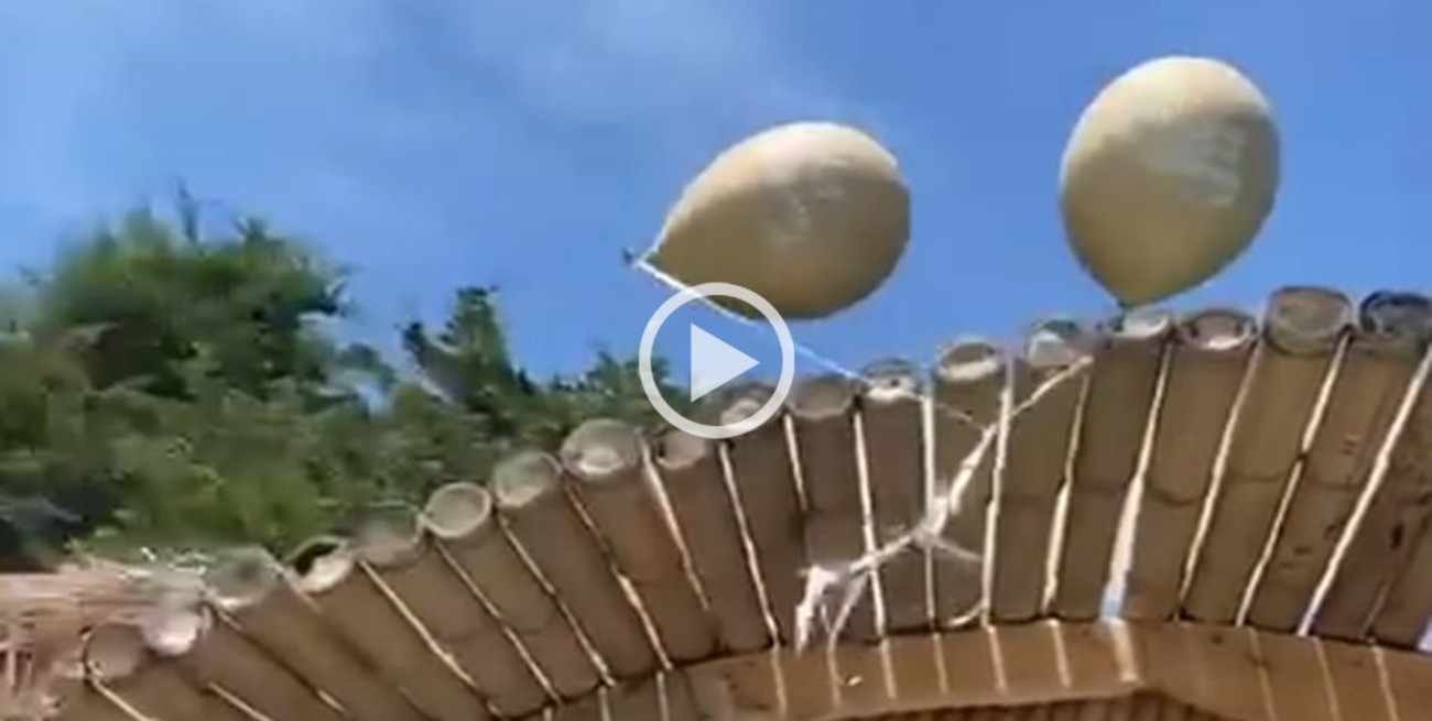 Susana Giménez soltó globos para pedir deseos y  la escracharon por contaminar