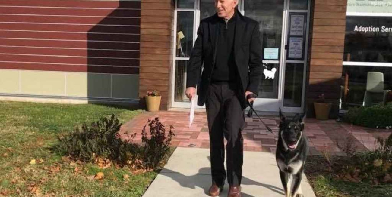 El perro de Biden volvió a morder a una persona en la Casa Blanca 