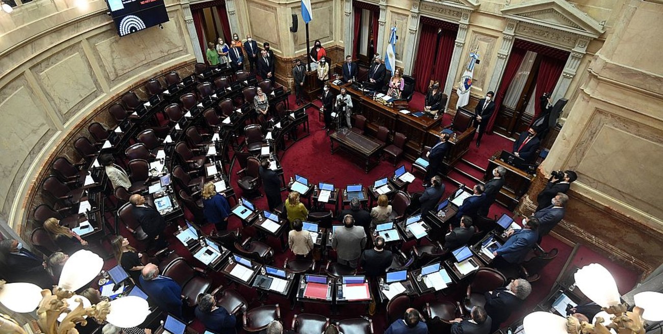 El Senado convirtió en ley el alivio fiscal para entidades sin fines de lucro