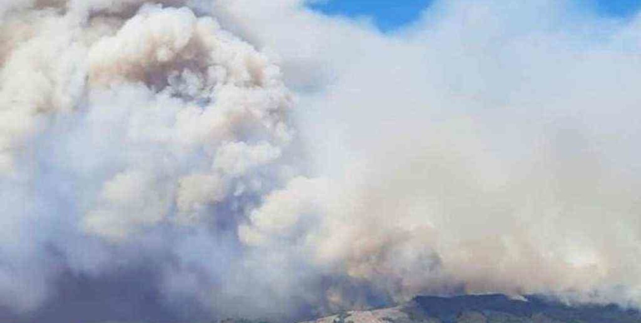 Incendios en Chile arrasaron con más de 11.000 hectáreas