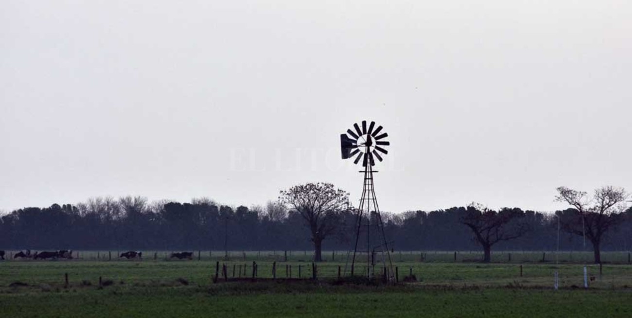 El 39% de la inversión 2020 fue del sector agropecuario  