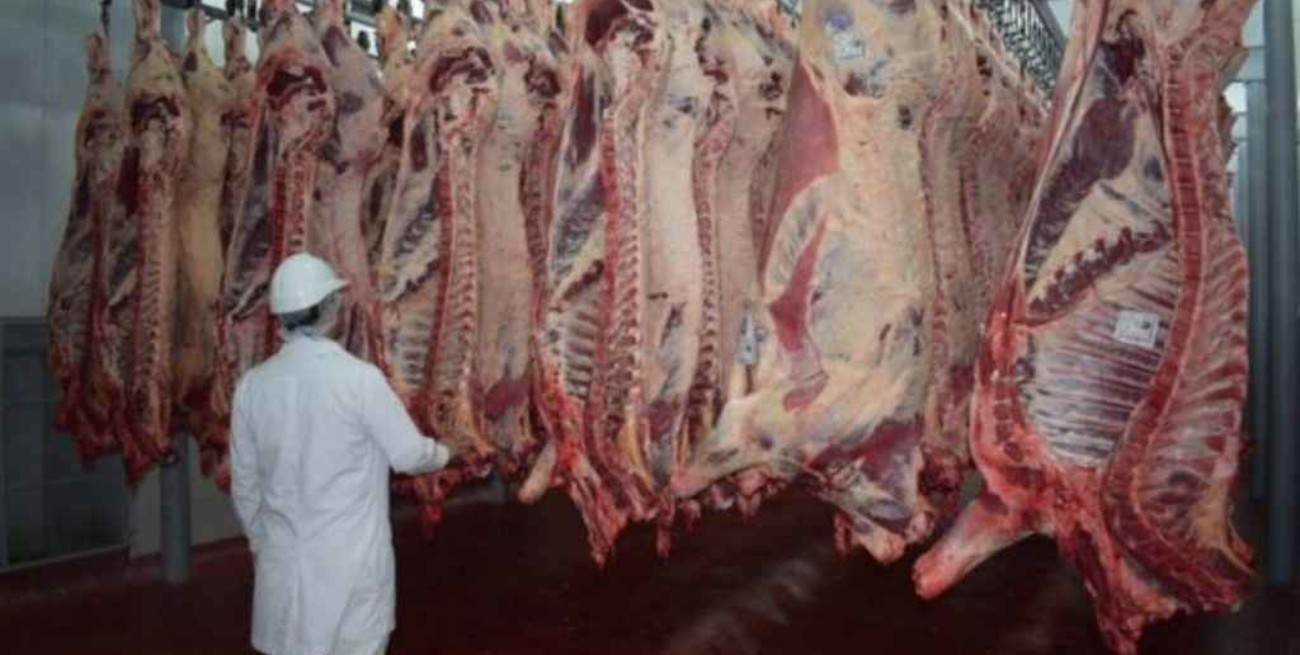Fuerte pedido a Perotti de la cadena de la carne