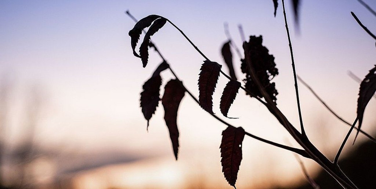 Este viernes será la última noche del verano 2021